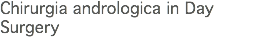 Chirurgia andrologica in Day Surgery
